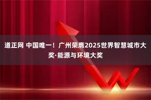 道正网 中国唯一！广州荣膺2025世界智慧城市大奖·能源与环境大奖