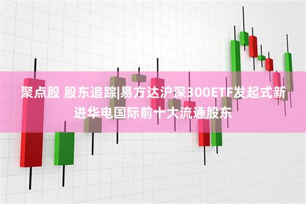 聚点股 股东追踪|易方达沪深300ETF发起式新进华电国际前十大流通股东
