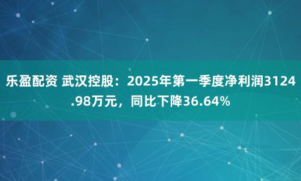乐盈配资 武汉控股：2025年第一季度净利润3124.98万元，同比下降36.64%